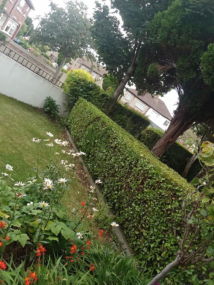 Gardening Designs