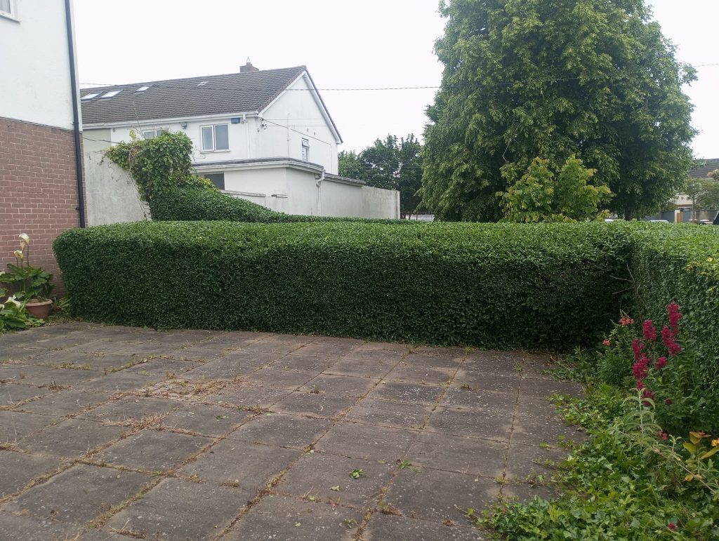 Gardening Designs