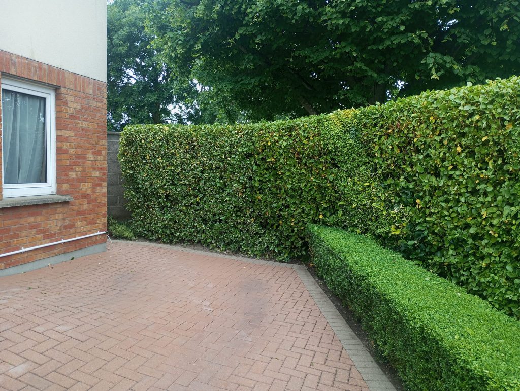 Hedge Trimming
